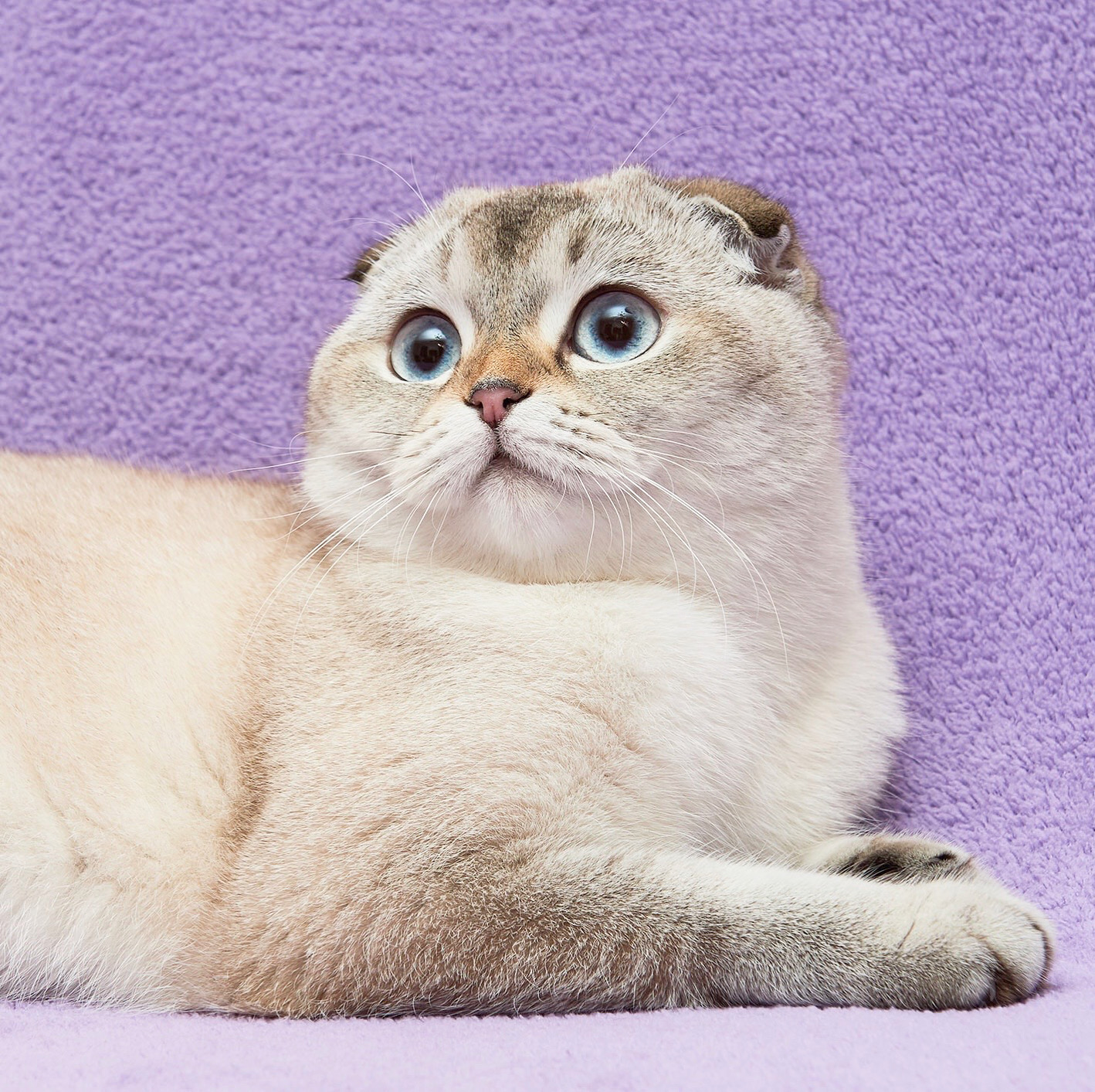 Post image description