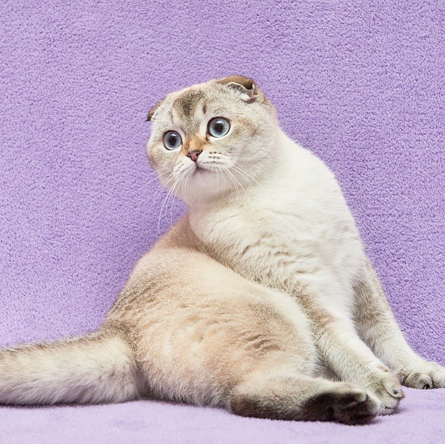 Title for first image Description for first image