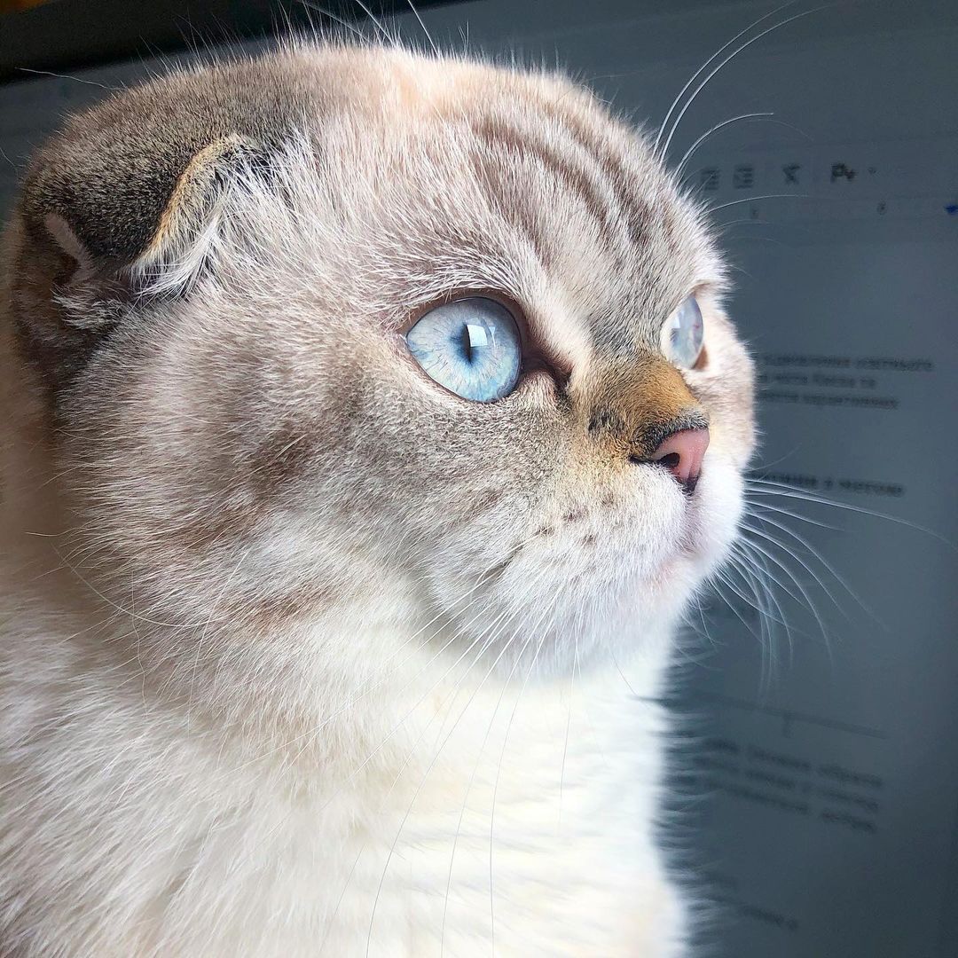 Title for first image Description for first image