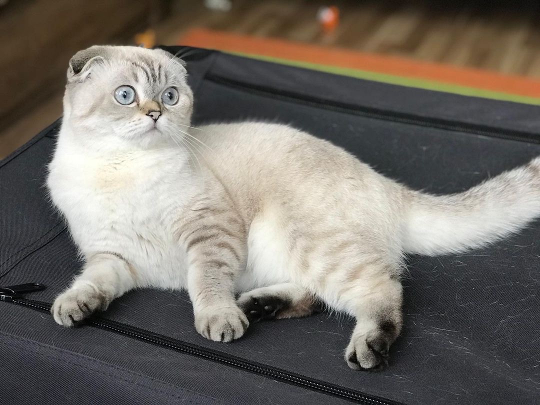 Title for third image Description for second image