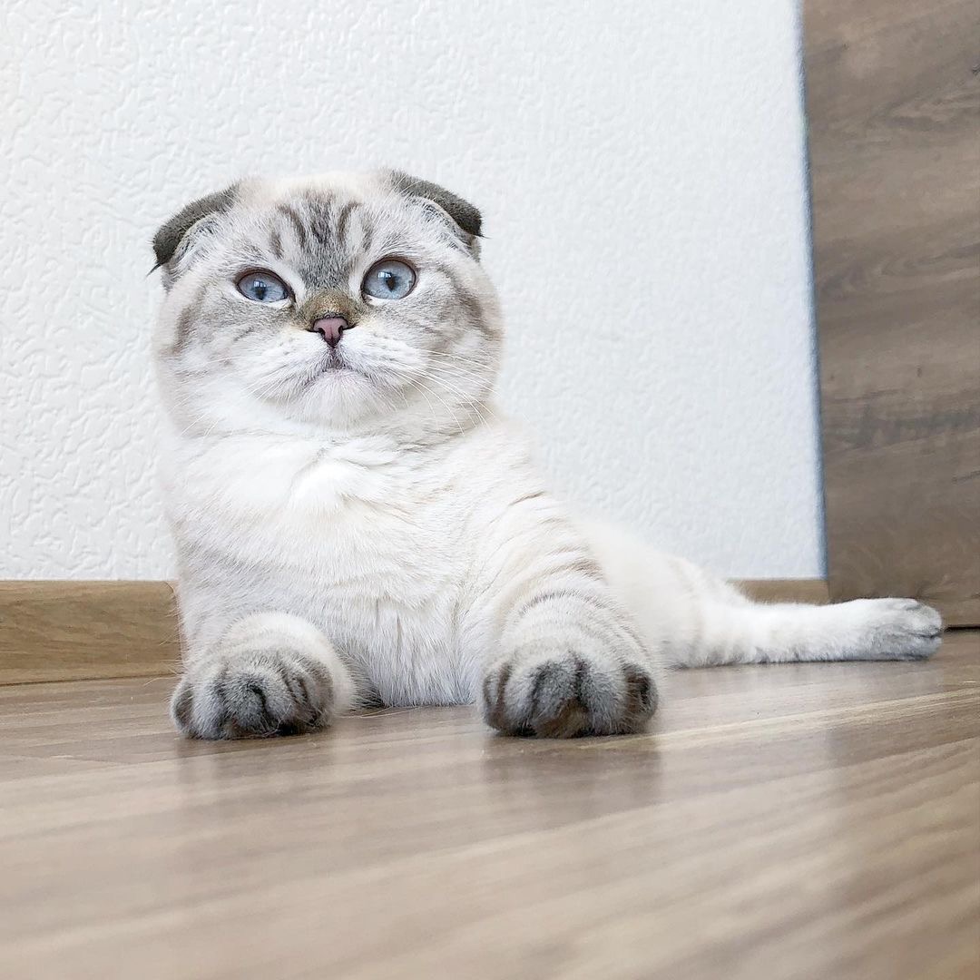 Title for second image Description for second image