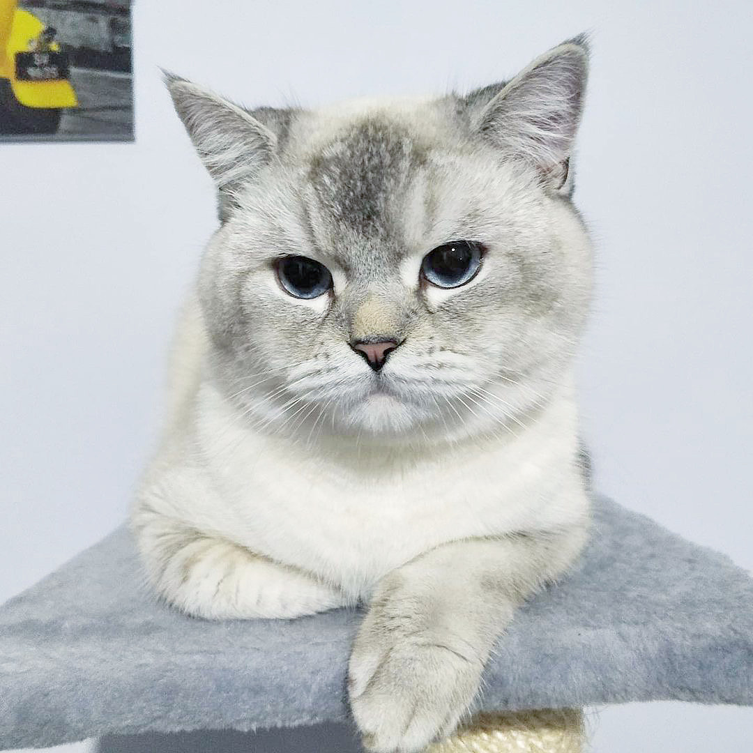 Post image description