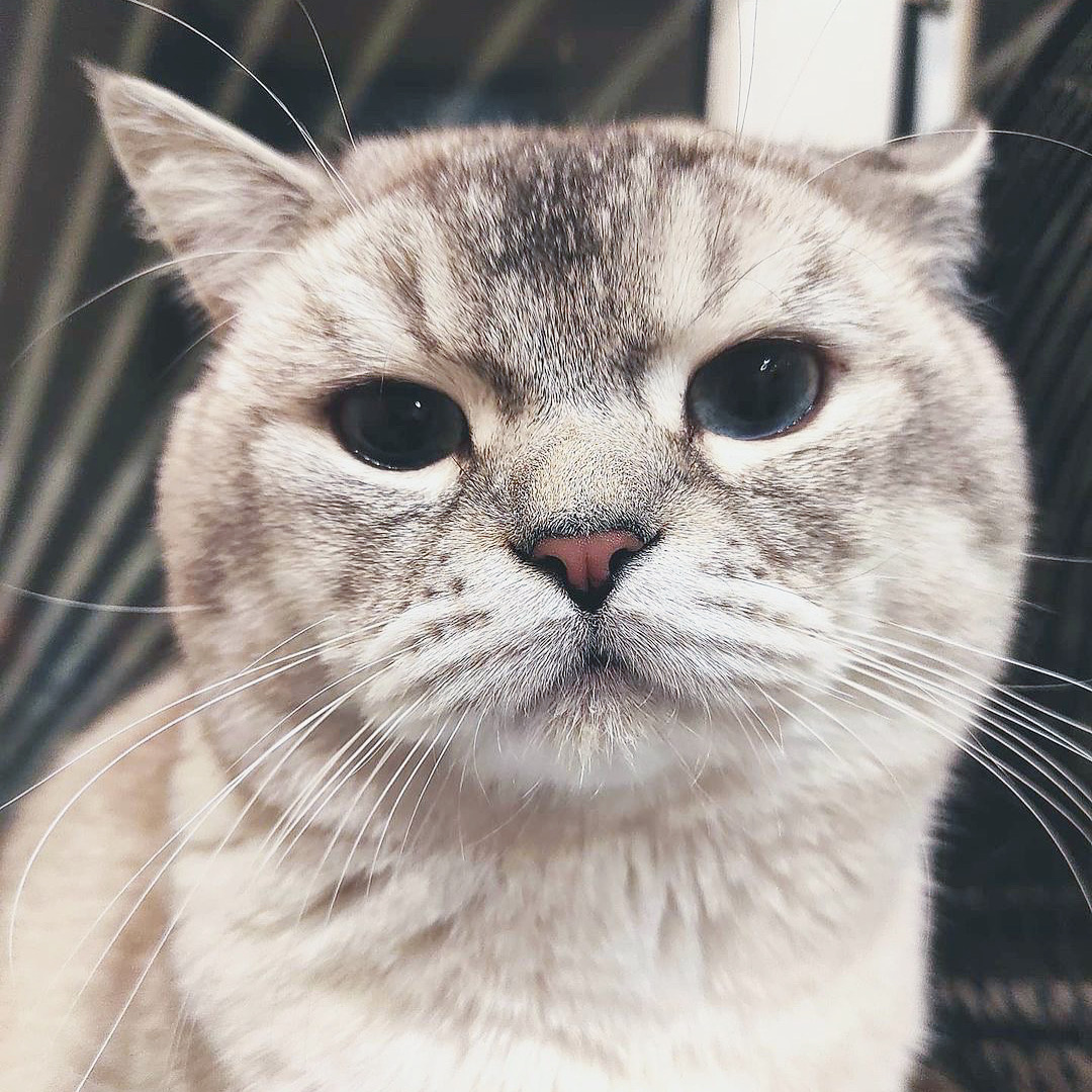 Title for second image Description for second image