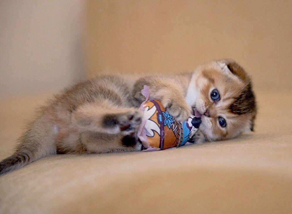 Title for first image