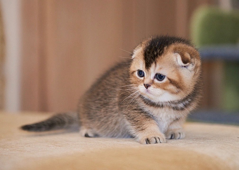 Title for first image