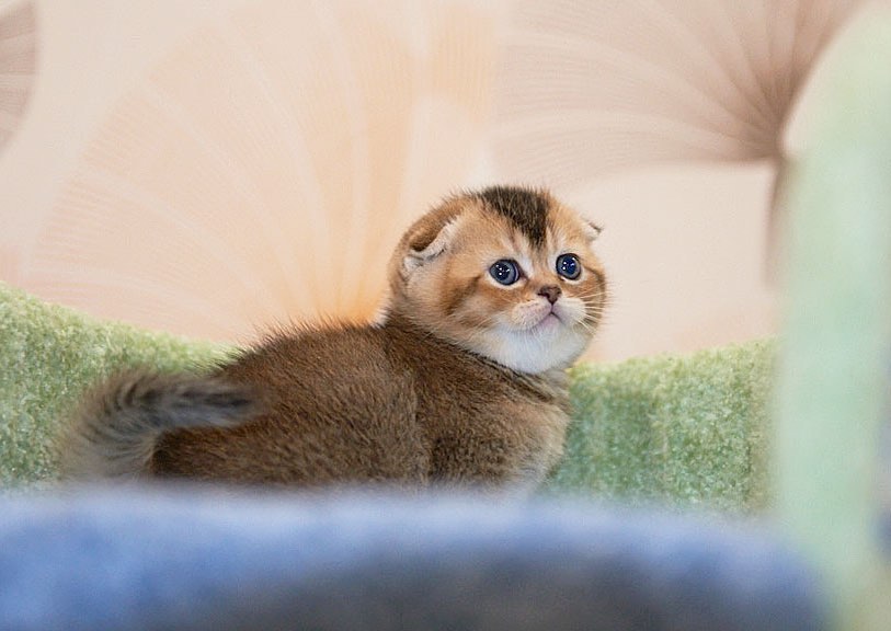 Title for third image