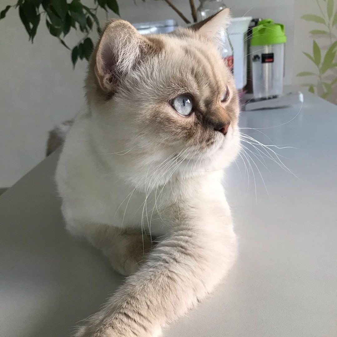 Post image description