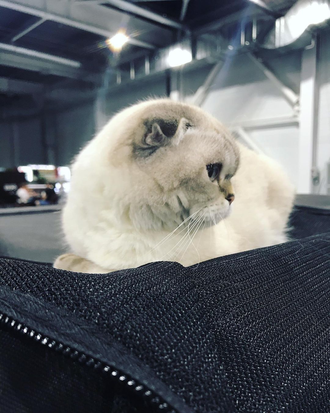 Title for first image