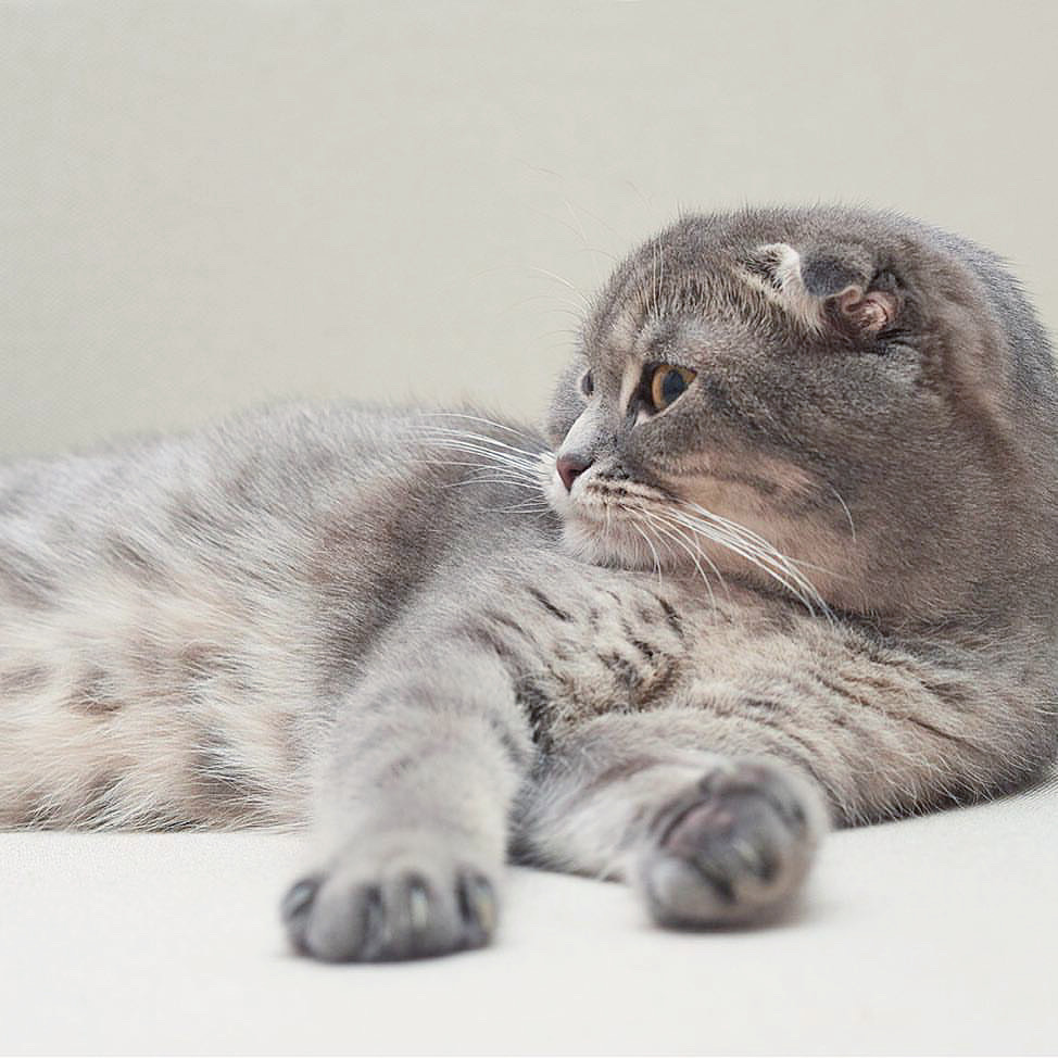 Post image description